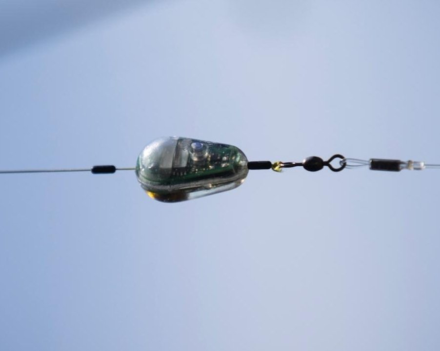 Сезон открыт: представлен Bluetooth-трекер Probe, который находит самые рыбные места