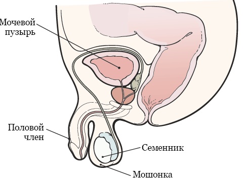 ОПРОС: Берете ли вы свои гаджеты в отпуск?