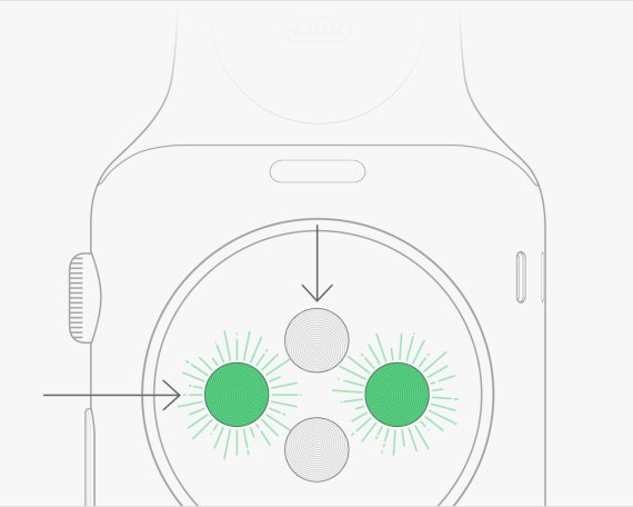 Apple подробно рассказала, как работает датчик сердцебиения в Apple Watch