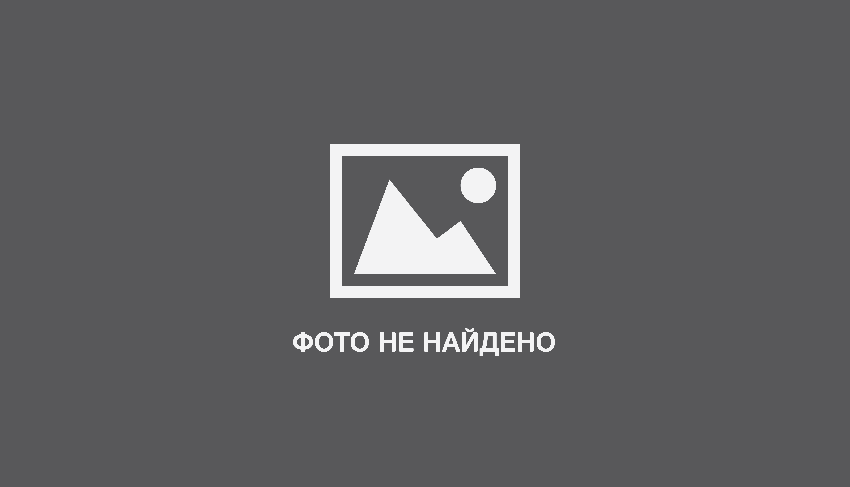 Койот-СМС диллер: как бесплатно отправить SMS